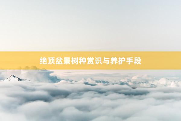 绝顶盆景树种赏识与养护手段